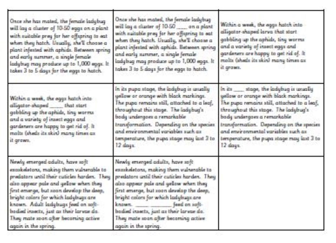 Montessori Ladybug Life Cycle 5 Parts Cards Digital PDF Downlaod ...