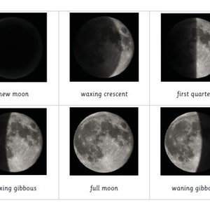 Montessori Moon Phases 5 Parts Cards