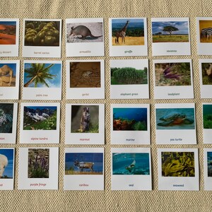 Montessori Biomes der Welt 5-teilige Nomenklatur Lernkarten Homeschool Klassenzimmer Lernkarten Spielzeug für Kinder