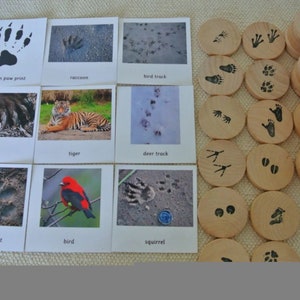 Montessori inspirado em trilhas de animais, cartões com imagens e jogos de memória, cartões flash de nomenclatura para sala de aula, escola em casa