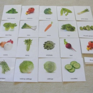 Montessori Common Vegetables 3 Parts Cards Digital PDF Download Printable Homeschool Classroom Nomenclature Flash Cards