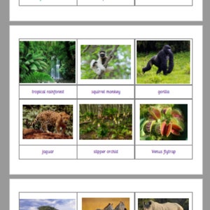 Montessori Biomes of the World 5 Part Cards digital download Printable Homeschool Classroom Nomenclature Flash cards