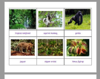 Montessori Biomes of the World 5 Part Cards digital download Printable Homeschool Classroom Nomenclature Flash cards