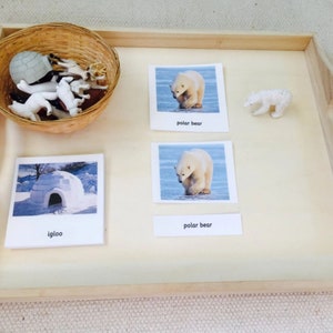 Montessori Arctic 3 Parts Cards with Miniatures Homeschool Classroom  Homeschool Classroom