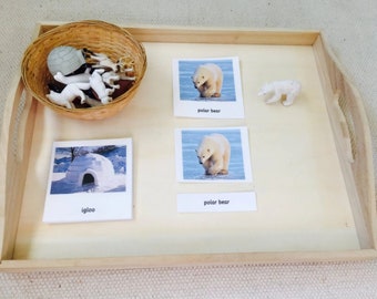 Montessori Arctic 3 Parts Cards with Miniatures Homeschool Classroom  Homeschool Classroom