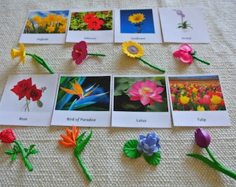 Montessori Common Flowers 3 Part Cards with Miniatures Home School Classroom Nomenclature Flash Cards