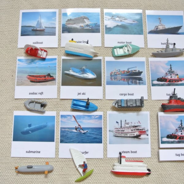 Montessori In the Water 3-Part Cards with Miniatures Homeschool Classroom Nomenclature Flash Cards