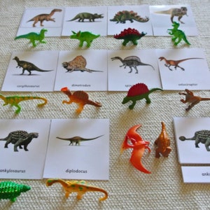 Tarjetas didácticas Montessori con nomenclatura de dinosaurios en 5 partes, miniaturas, figuras, juguetes educativos para el hogar, la escuela y el aula.