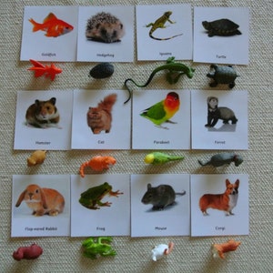 Montessori Common Pets 3 Part Cards with Miniatures Homeschool Classroom Nomenclature Flash Cards