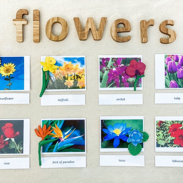 Montessori Common Flowers 3 Part Cards Miniatures Home School Classroom Nomenclature Flash Cards Educational Learning Cards Toys for Kids