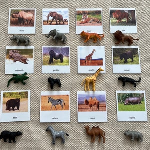Montessori Wilde Dieren 3-delig Nomenclatuur Flashkaarten Miniaturen Homeschool Klaslokaal Educatief Leren Kaarten Speelgoed voor kinderen