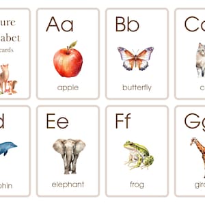 Nature Alphabet Flashcards A-Z Watercolor Pictures Digital PDF Download Printable Homeschool Classroom Free Alphabet Letter Tracing Sheets