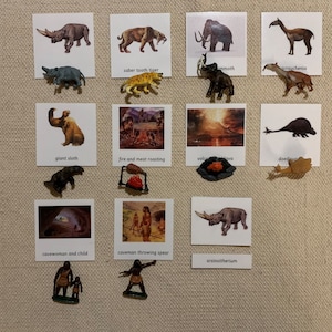 Montessori Geschichte Vorgeschichtliches Leben und Tiere 3 Teile Karten Miniaturen Homeschool Klassenzimmer Lernkarten Spielzeug für Kinder