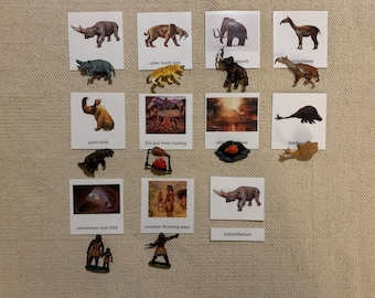 Montessori Geschichte Vorgeschichtliches Leben und Tiere 3 Teile Karten Miniaturen Homeschool Klassenzimmer Lernkarten Spielzeug für Kinder