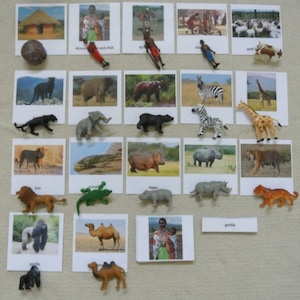 Tarjetas de miniaturas Montessori con la vida en el pueblo y los animales del continente africano, 3 partes, educación en el hogar, escuela, aula, nomenclatura