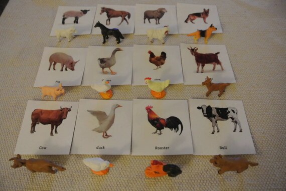 Montessori Common Farm Animals 3 Parts Cards With Miniatures - Etsy Montessori Common Farm Animals 3 Parts Cards With Miniatures - Etsy
