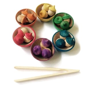 Montessori Waldorf Learning & Sorting Acorn Game Home school Educational Gift Toy