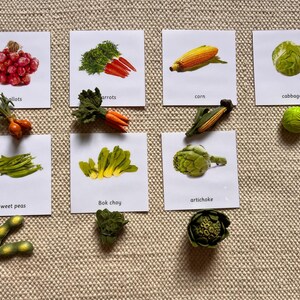 Tarjetas didácticas Montessori con nomenclatura de verduras comunes en 3 partes, figuras en miniatura, juguetes educativos para fiestas, hogar, escuela y aula