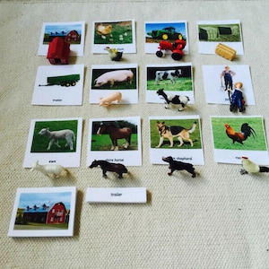 Montessori Bauernhof Tiere 3 Teile Nomenklatur Flash Karten Miniaturen Figuren Homeschool Klassenzimmer Lernkarten Spielzeug