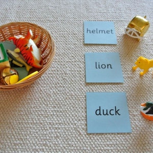 Montessori Blue Language Series Phonics Educational Kit Home School - Etsy