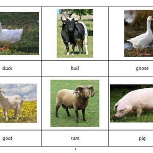 Montessori Common Farm Animals 3 Parts Cards Digital PDF Download Printable Homeschool Classroom Nomenclature Flash Cards