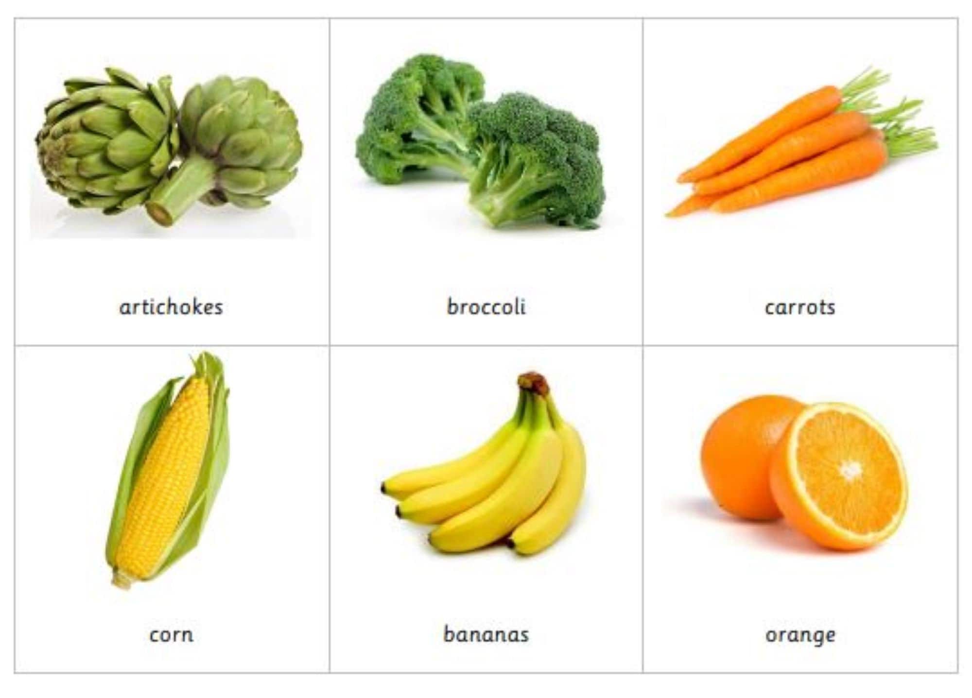 Montessori Common Fruits and Vegetables 3 Parts Cards Digital PDF Download Printable Homeschool Classroom Nomenclature Flash cards