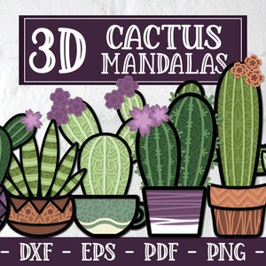 3D Cactus Mandala, Cactus SVG, 3D Mandala Svg, Gelaagde Mandala, Gelaagde Cactus Svg, Cactus Mandala, Sappige Svg, 3D Sappige Svg, Cactus