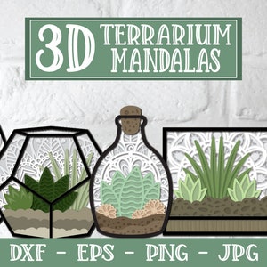 3D Terrário Mandala SVG, 3D Mandala SVG, Succulent SVG, 3D Succulent, Papercut Succulent Svg, suculenta em camadas, terrário svg, em camadas