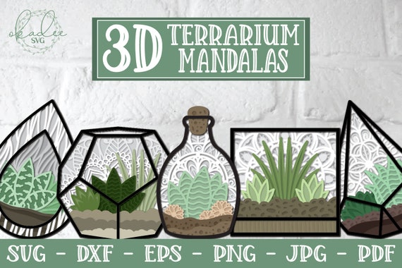 3D Terrarium Mandala SVG, 3D Mandala SVG, Succulent SVG, 3D Succulent, Papercut Succulent Svg, layered succulent, terrarium svg, layered