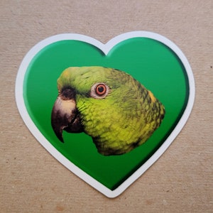 以下が含まれることがあります： 緑色のハート型のステッカーに、頭部に黄色の縞模様のある緑色のオウムが描かれています。オウムの目はオレンジ色です。