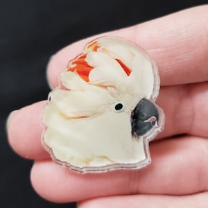 Pin - Moluccan Cockatoo - Crest Up (Max the Moluccan)