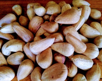 Bunya Nuts, 1kg