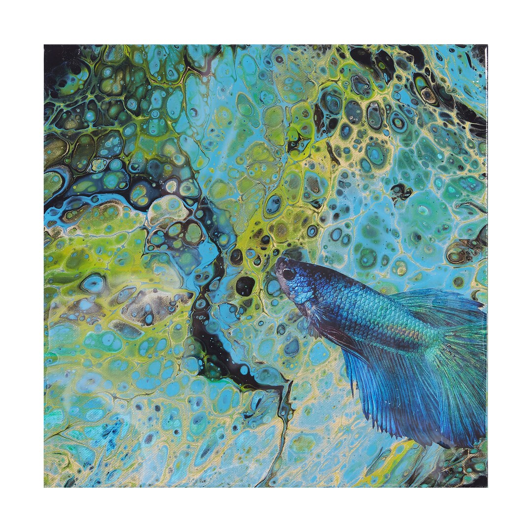 BETA BLUE, Fluid Acrylic, Beta Fish, Print - Etsy UK