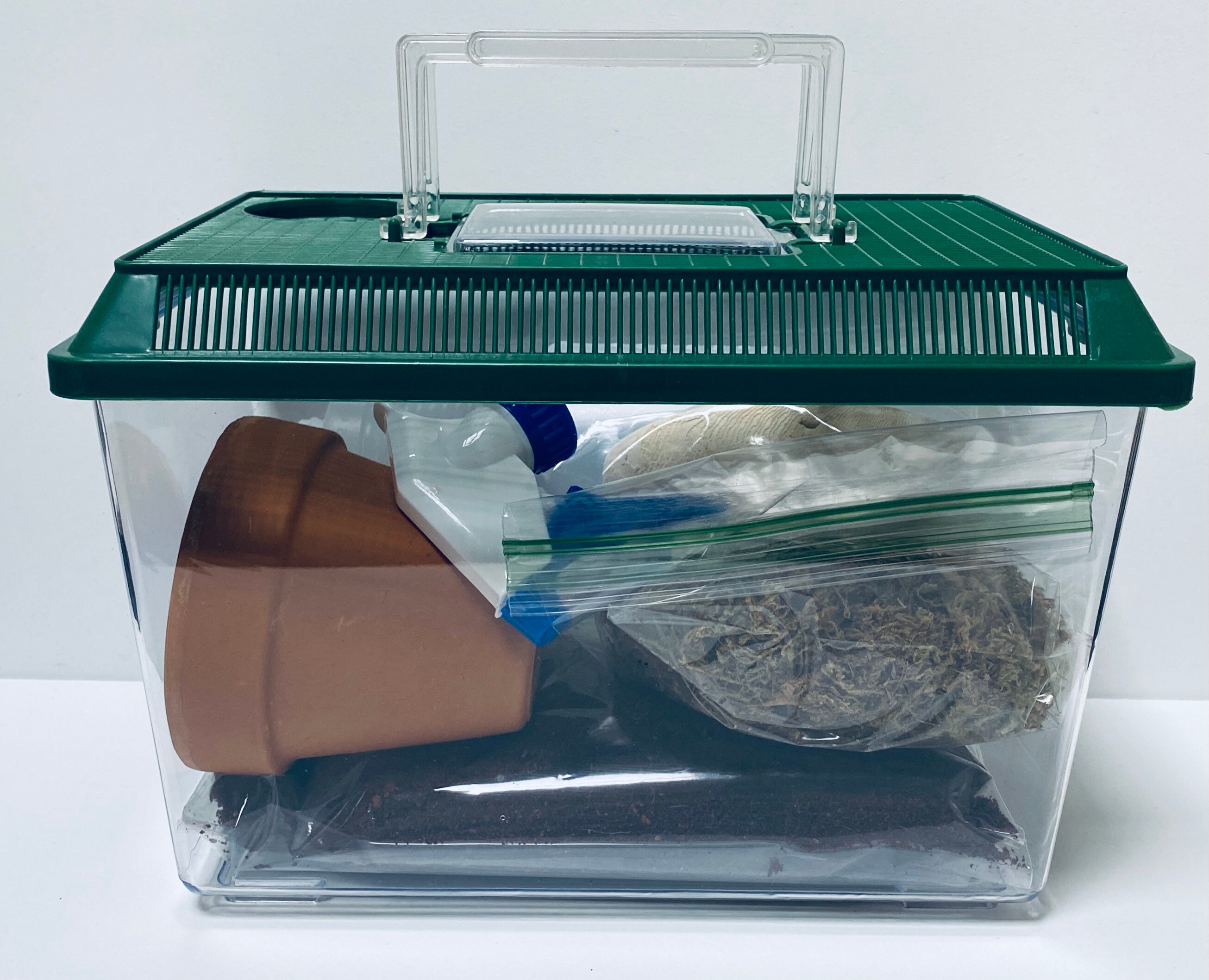 Snail terrarium complete housing kit. Etsy