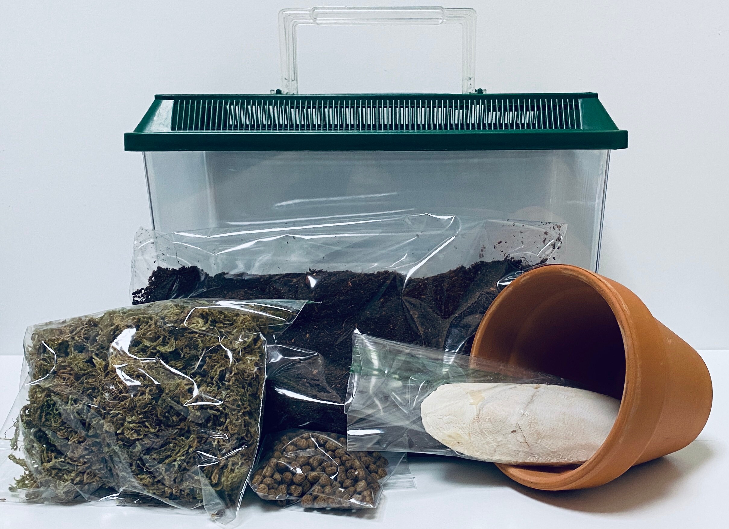 Snail terrarium complete housing kit. Etsy