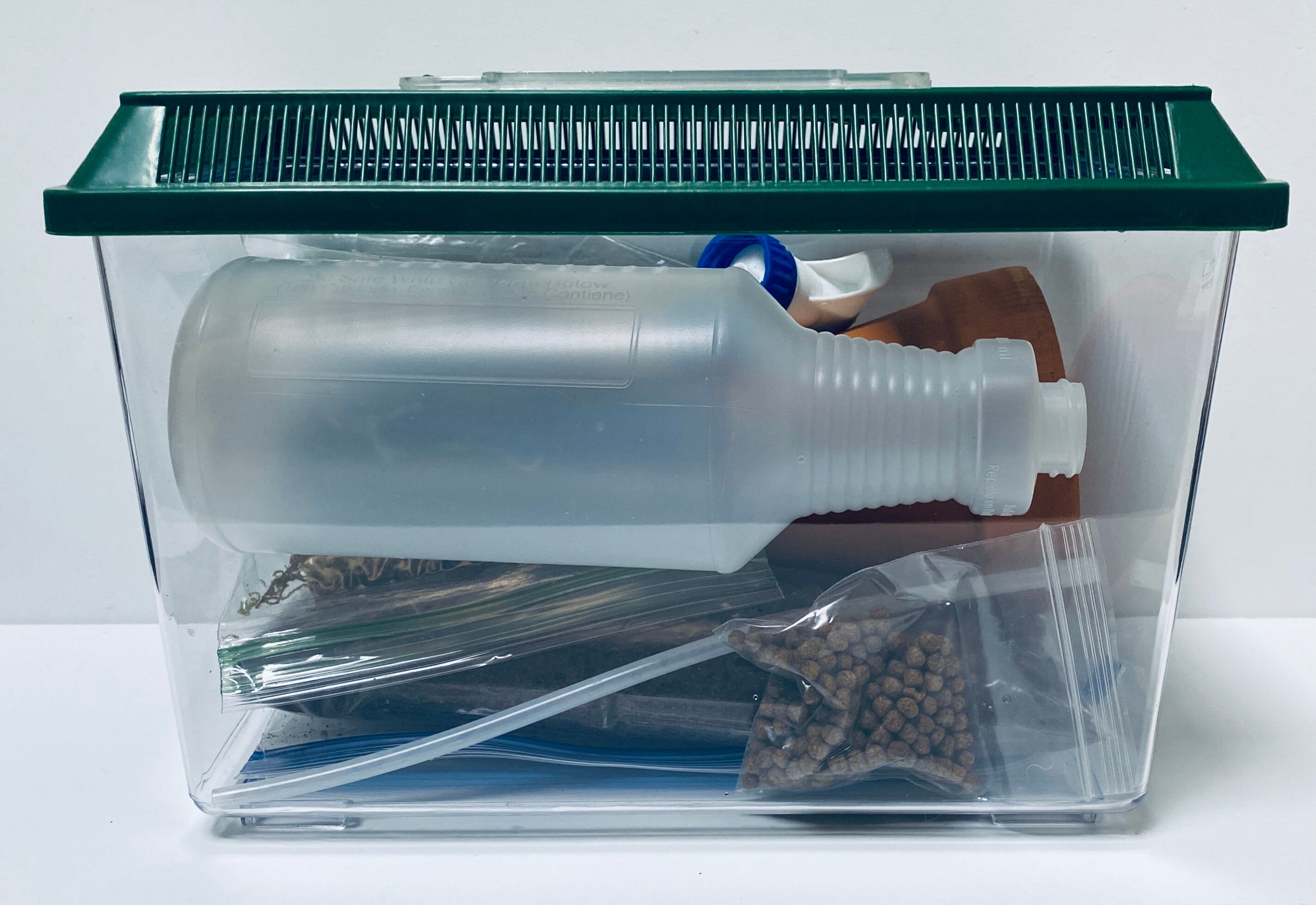 Snail terrarium complete housing kit. Etsy