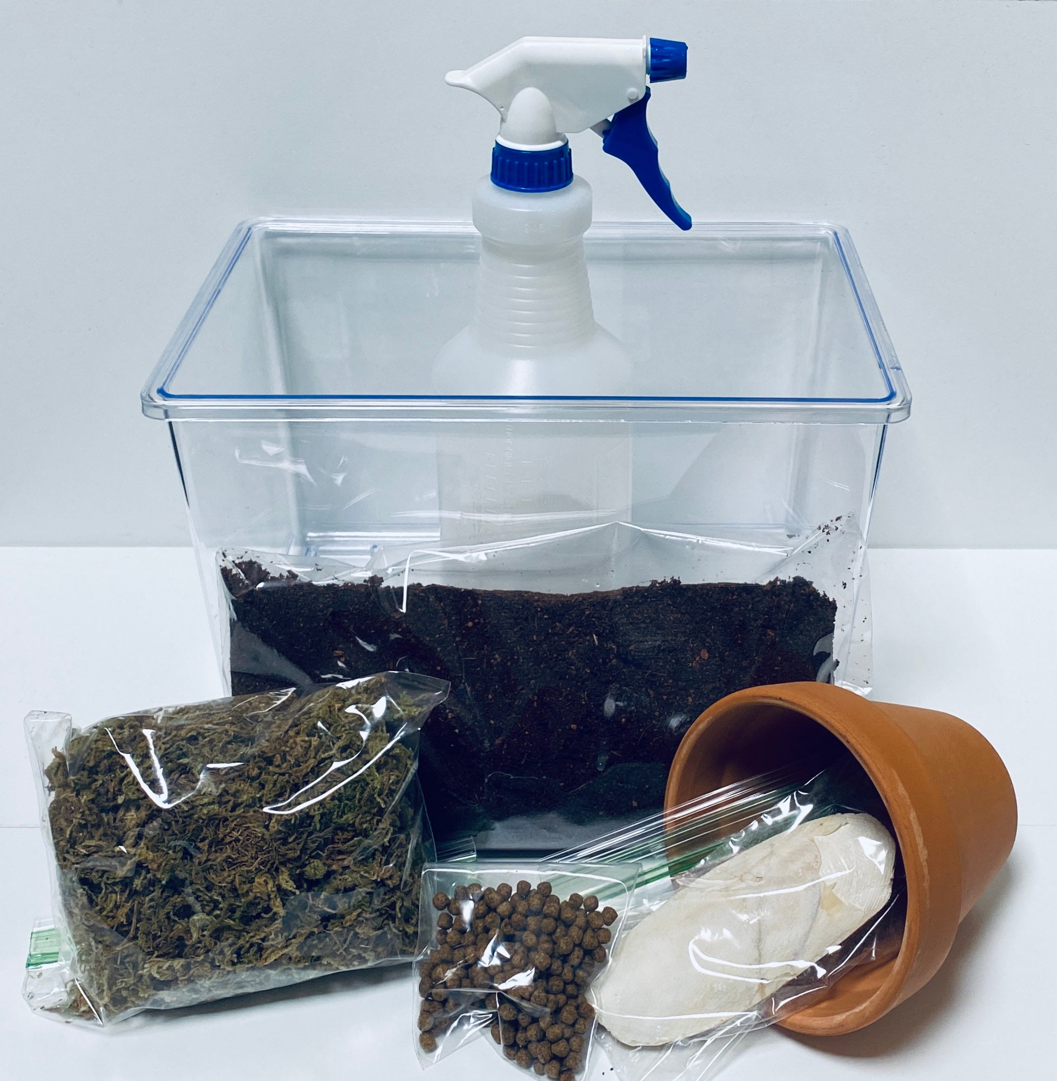 Snail terrarium complete housing kit. Etsy