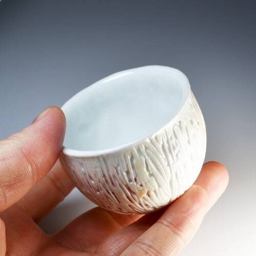 Tomoyuki shops TAKEMURA's sake cup, 