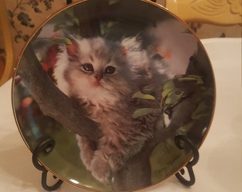 May include: A decorative plate with a gold rim features a white and gray kitten sitting on a branch with green leaves. The plate is on a black stand.
