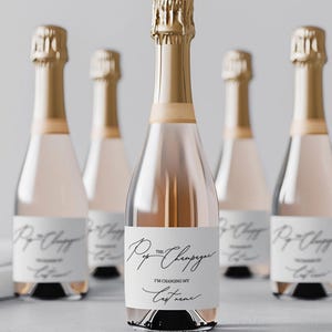Pop the Champagne I&#39;m Changing My Last Name, Mini Champagne Bottle Label, Bachelorette Party, Bride Tribe, Bridesmaid Proposal Gift W013