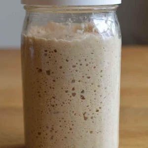 San Francisco Sourdough Starter Organic dehydrated