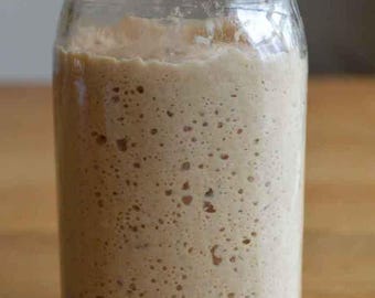 San Francisco Sourdough Starter Organic dehydrated