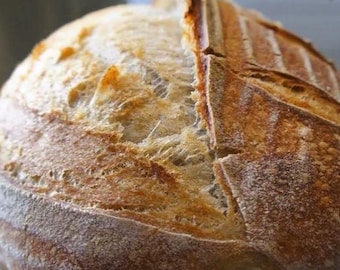 Gluten Free Organic Sourdough Starter