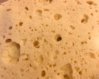 100 Grams of Fresh Sourdough Starter