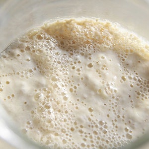 Gluten Free Sourdough Starter Maintained with GF King Arthur Four