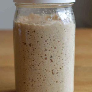 May include: A glass jar with a white lid filled with a light brown sourdough starter. The starter is bubbly and has a thick consistency.