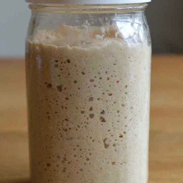 Fresh EINKORN Sourdough Alive Starter 100 Grams in Glass Jar