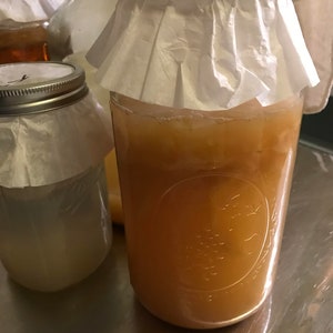 Apple cider Vinegar Mother (make a gallon in just a couple weeks!)
