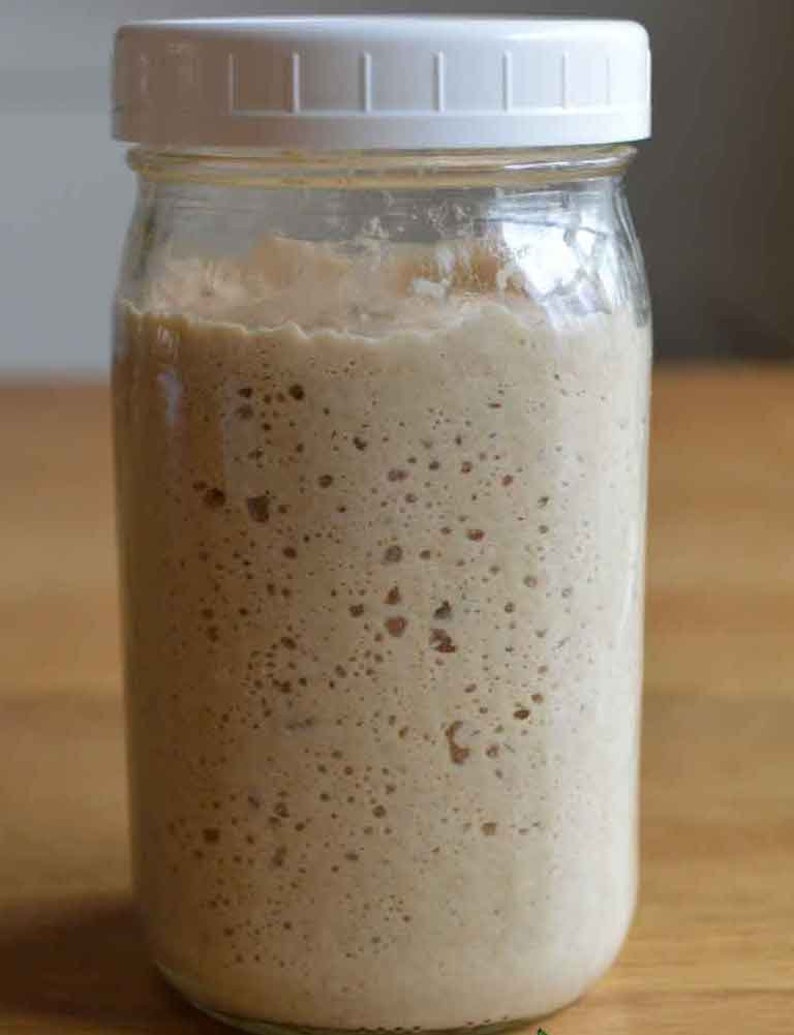 Fresh NOT Dehydrated 1950's Sourdough Starter 75 Grams in GLASS JAR