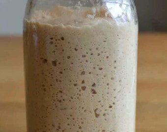 Top Selling San Francisco Sourdough Starter Dated 1942